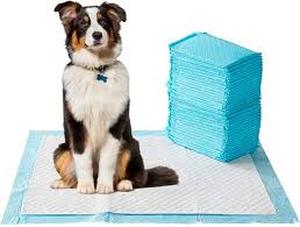 lot 3410 image: Dog pee pads 50pk - Retail $25