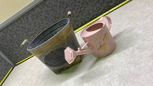 lot 1051 image: Vintage Metal Bucket and Pink Watering Can Set