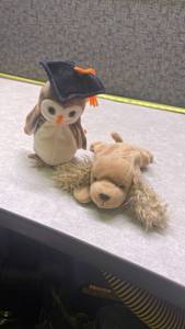 lot 1107 image: Graduation Owl and Dog Beanie Baby