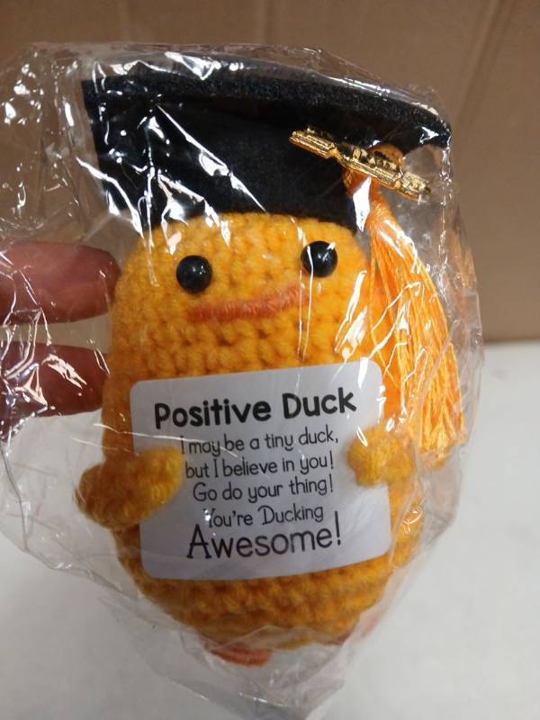 lot 27150 image: Graduation Positive Duck Plush Toy