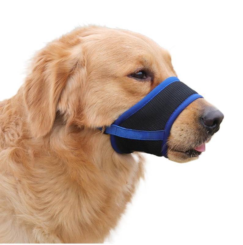 lot 31492 image: BOTIZR XXL Dog Muzzle for Medium to Large Dogs Air Mesh Breathable Mouth Cover with Adjustable Hook & Loop Strap Allows Panting, Prevents BitingBarkingChewing (Snout Girth 9.4-11)