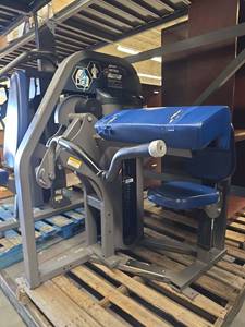 lot 6226 image: Nautilus Nitro Preacher Curl Machine