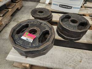 lot 6252 image: &nbspIron Grip Scale Weight Set - 25 lbs&nbsp