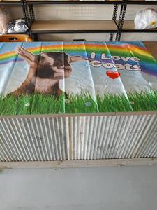 lot 40398 image: I Love Goats Rainbow Banner - Retail $22
