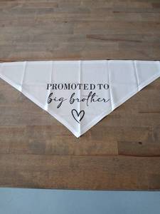lot 40399 image: Big Brother Announcement Dog Bandana - Retail $12