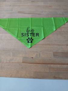 lot 40400 image: Big Sister Dog Bandana in Lime Green - Retail $8