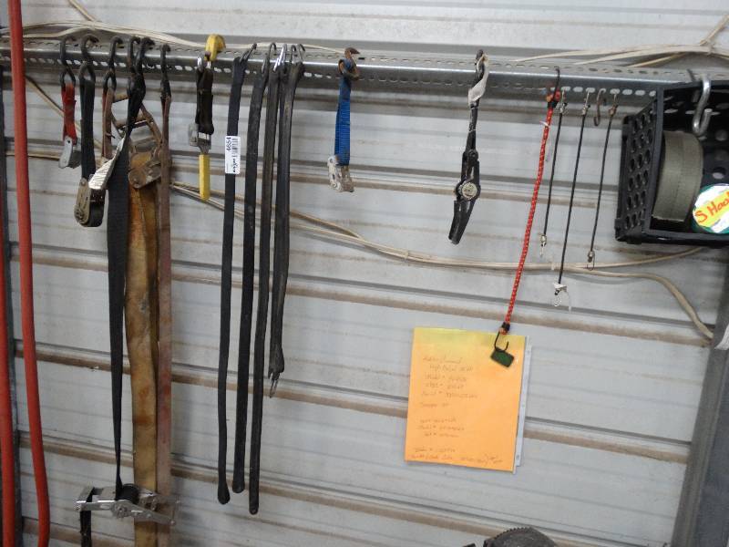 lot 4654 image: Bungees & straps.