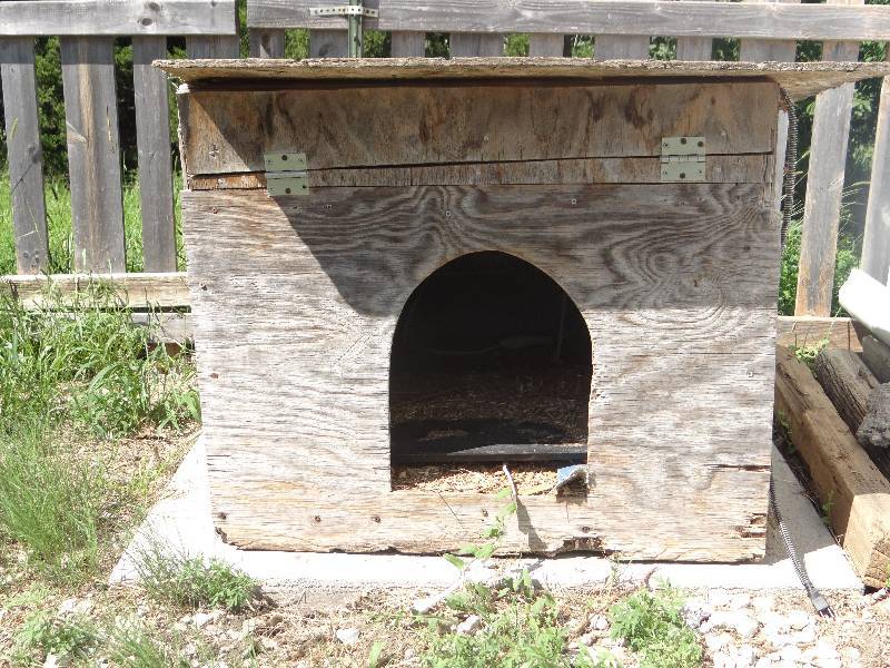 lot 13568 image: Wooden dog house.