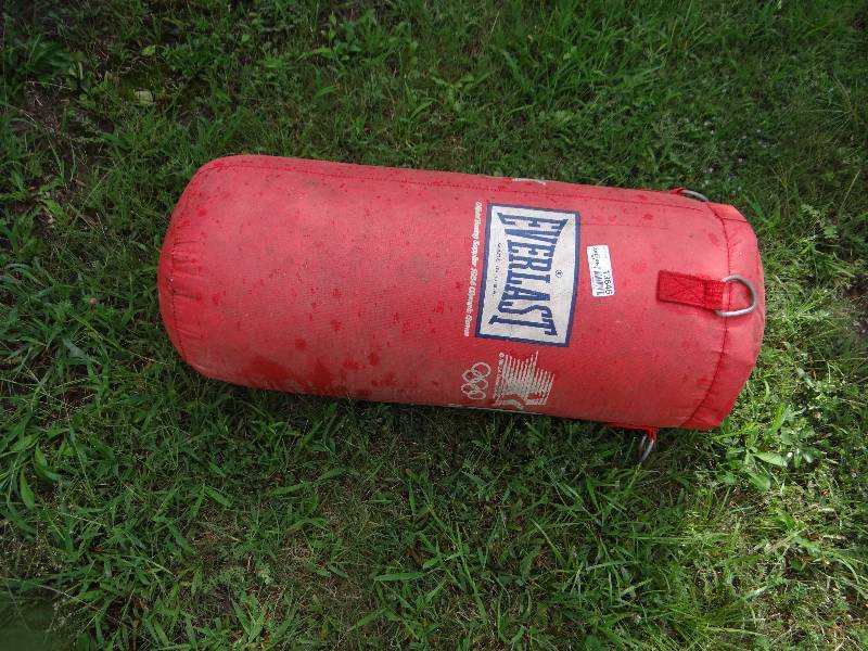 lot 13646 image: Everlast punching bag.