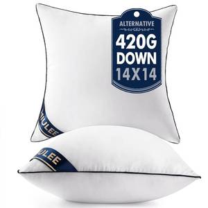 lot 9129 image: MIULEE 14x14 Pillow Inserts Set of 2 Throw Pillows 14 Inch Premium Down Alternative Pillow Inserts Decorative Pillow Stuffer for Sofa, Couch (14x14 inch, Set of 2)