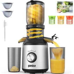 lot 9190 image: Ganiza Juicer Machines, Slow Masticating Juicers with Large Feed Chute for Whole Fruits & Vegetables, Cold Press Juicer with 3 Replace Filters for Batch Juicing, Easy to Clean, BPA Free(Silver)