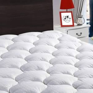 lot 9216 image: LEISURE TOWN Queen Mattress Pad Fitted Quilted Cotton Mattress Cover Cooling Soft Pillow Top Mattress Topper with Down Alternative Filling Mattress Protector with 8-21 Deep Pocket (60x80 White)
