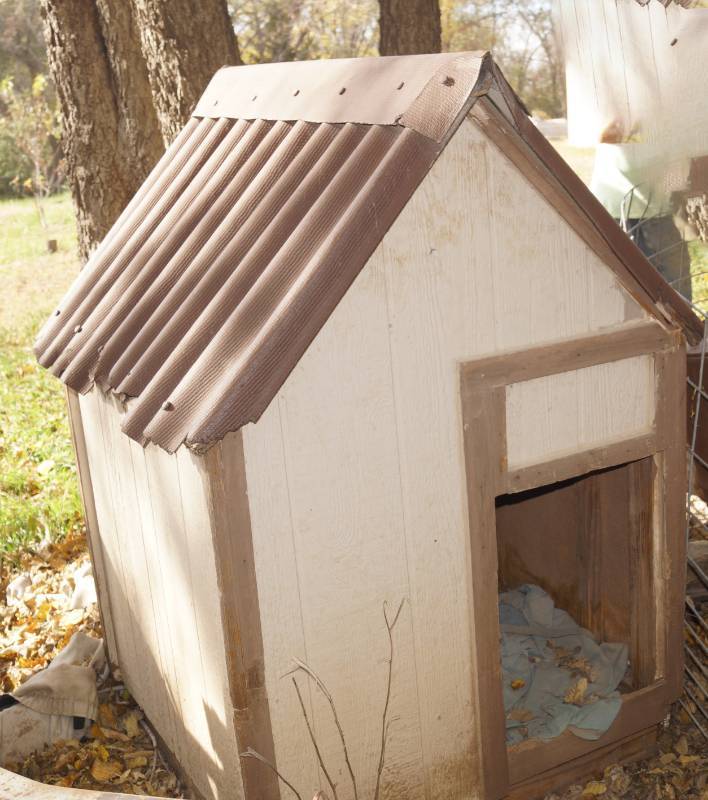 lot 1236 image: Very tall dog house for a BIG dog