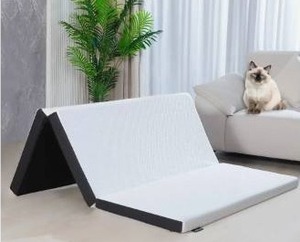 lot 56312 image: 3-inch Folding Memory Foam Mattress Topper - Retail $83