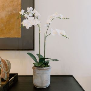 lot 57998 image: Artificial 2-Stem White Phalaenopsis Orchid in Gray Pot - Retail $99