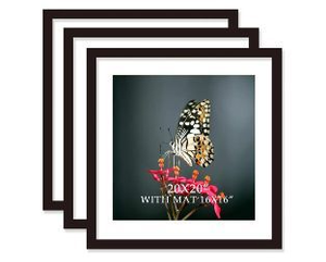 lot 58157 image: Modern 21 58 x 21 58 Black Picture Frame Set - Retail $25