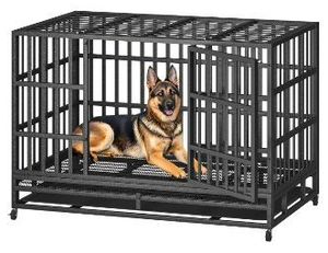 lot 8159 image: Heavy Duty Steel Dog Crate with Wheels 47 Long 30 wide 32.5 tall - Retail $124