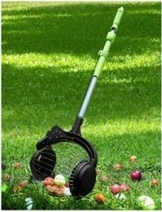 lot 56304 image: Large Capacity Nut and Apple Gatherer - Retail $35