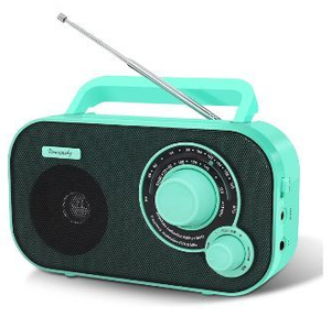lot 58169 image: DreamSky AMFM Portable Radio - Mint Green - Retail $15