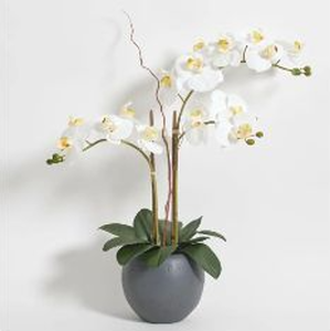 lot 58182 image: Artificial White Phalaenopsis Orchid Plant - Retail $89