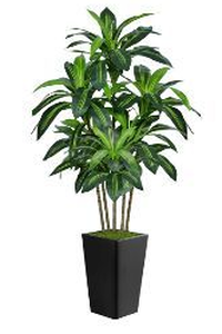 lot 58203 image: 6ft Artificial Dracaena Plant with Black Planter - Retail $92