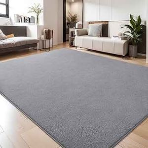 lot 59141 image: Modern Low Pile Area Rug 6x9 Grey - Retail $63