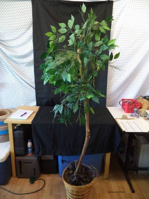 lot 2642 image: 6 Green Fake Tree