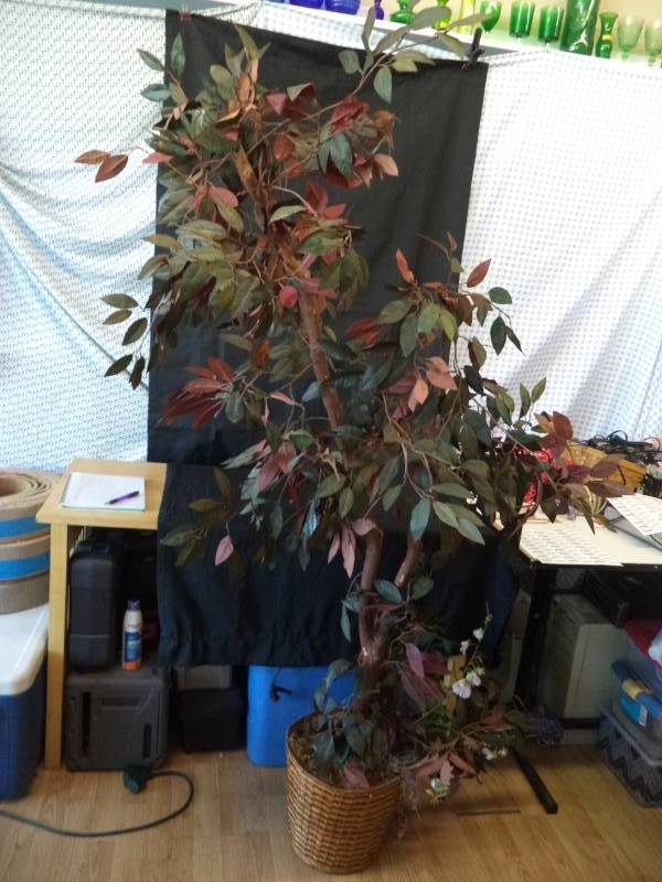 lot 2643 image: 6 Red & Green Fake Tree