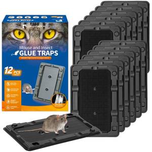 lot 2061 image: LULUCATCH Mouse Traps, 12 Pack Sticky Mouse Traps Indoor for Home, Pre-Baited Non-Toxic Bulk Glue Traps for Rats, Mice, Mole, Lizards, Pet Safe Pest Control for Home and Garage - Retail $8