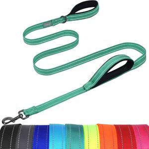 lot 16452 image: VIVAGLORY Twingrip Dog Leash, Double Handle Dog Leash for Training and Walking with Traffic Handle and 2 Loop, Traffic Control Reflective Heavy Duty for Puppy Pet, 6ft x 1in, Turquoise - Retail $13