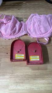 lot 14473 image: Initial necklaces G and D pink lace bra  - Retail $15