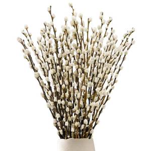 lot 6232 image: Lanmik 60 Stems 17 Inches Real Pussy Willow Flowers Pussy Willow Branches for Vases Natural Pussywillows with White Flowers Preserved for Easter Wedding Home Party Hotel Fireplace Decor