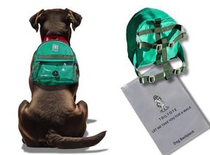 lot 6250 image: Tailtote Dog Hiking Backpack Harness Lightweight, Adjustable, and Water-Resistant Pet Poopbag Holder for Outdoor Adventures,Puppy School or Everyday Walks (Medium)