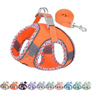 lot 6275 image: AIITLE Tiny Dog Harness - Lightweight Mesh Step-in Vest for Puppy, Reflective & Escape-Proof Design with High-Stick Magic Tape - IndoorOutdoor Use for Chihuahua, Maltese, Shih Tzu(Orange, XXXS)