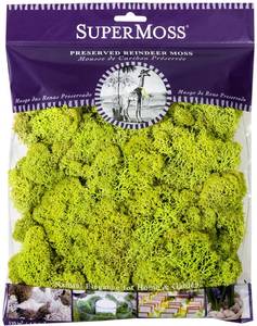 lot 8634 image: Super Moss 21707 Reindeer Moss Preserved, Chartreuse, 4-Ounce