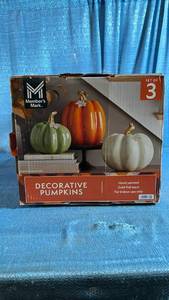 lot 4012 image: Members Mark Decorative Thanksgiving Pumpkin Set - Retail $24