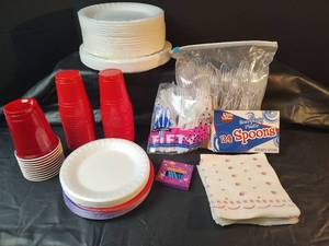 lot 302 image: Party Picnic Supply Bundle with Plates, Cups, and Accessories