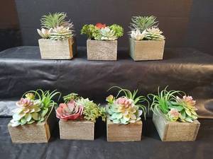 lot 440 image: Artificial Succulent Arrangements in Wooden Cubes