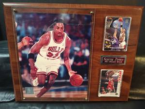 lot 459 image: Scottie Pippen Chicago Bulls Framed Display, 15 x 12