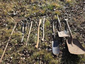 lot 3005 image: Garden Tool Collection with Long Handles