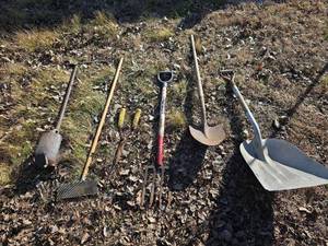 lot 3008 image: Garden Tool Collection