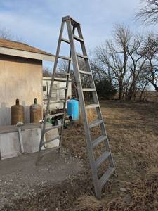 lot 3053 image: 10 Foot Aluminum Step Ladder