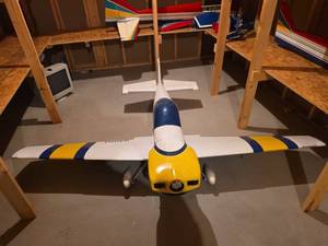 CAP 231 EX RC Model Aircraft