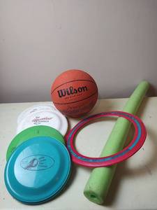 lot 5038 image: Sports Equipment - Wilson Basketball and Frisbee Set