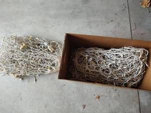 lot 5105 image: White Christmas Light String Set, Clear Lights