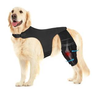 lot 2261 image: Pawfun Dog Knee Brace for Torn ACL Hind Leg, Adjustable Dog Leg Braces for Back Leg with 4 Metal Stabilizers Helps with Torn CCL, Luxating Patella, Ligament Injuries, Hip Dysplasia,XL - Retail $85