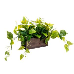 lot 19392 image: MyGift Vibrant Lifelike Artificial Plant Pothos Leafy Vine Greenery in Burnt Brown Solid Wood Rectangular Planter Box - Retail $33