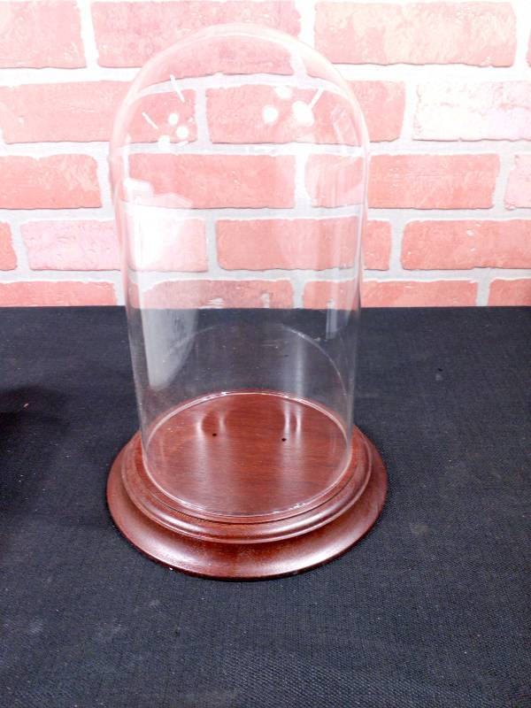 lot 63 image: Clock DomeGlass Dome Display Piece With Wood Base