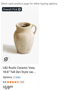 lot 17087 image: Rustic Ceramic Vase with Handle - Retail $59