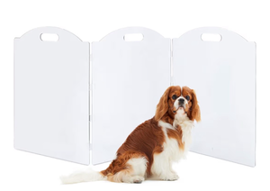 lot 13732 image: Clear Acrylic Freestanding Dog Gates for The House, Folding 3-Panel Pet Gates for Doorways, Indoor Stairs, and Hallways, Transparent Barrier for Dogs, Puppies, and Cats - Retail $80